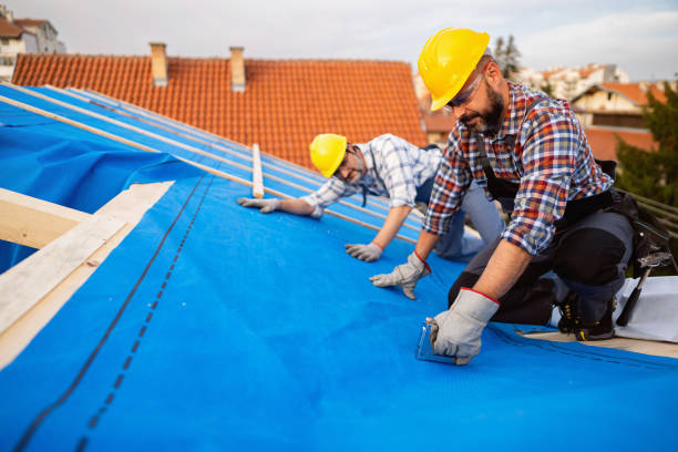 Best Roof Leak Repair  in Long Lake, MN